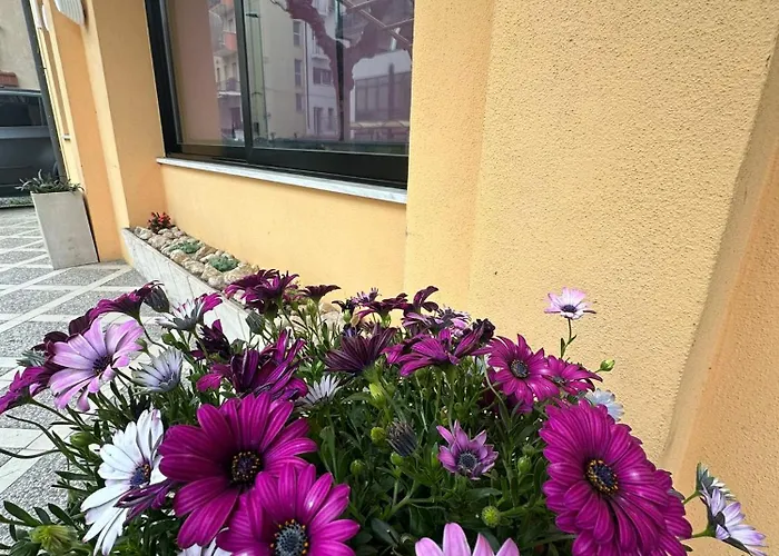 Отель Till Римини